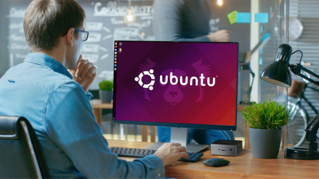 Usuario utilizando la distro de Linux, Ubuntu.